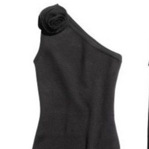 Sonia Rykiel for H&M body con dress